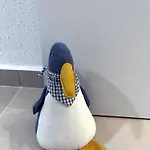 Casa Alex * コスタ・カルマ