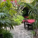 Casa Alex
