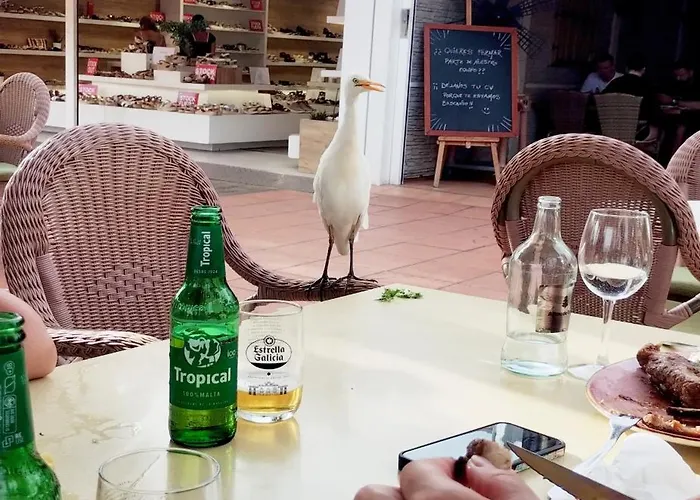 Casa Alex Costa Calma