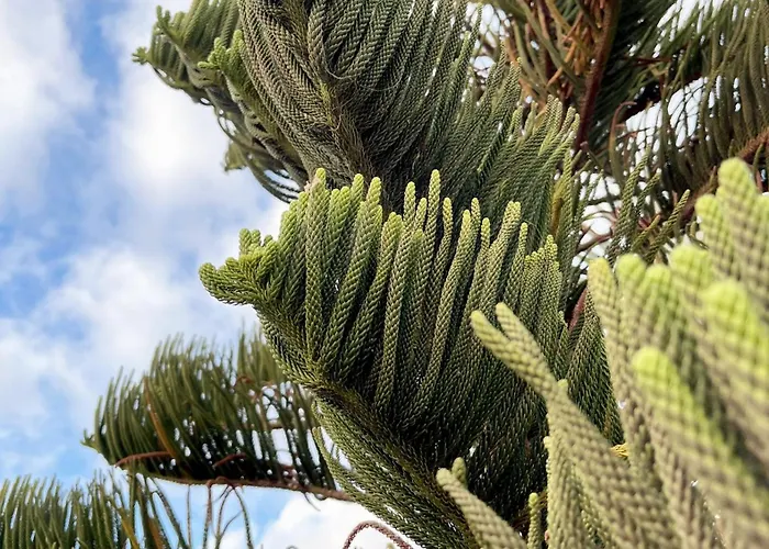 Apartament Casa Alex Costa Calma