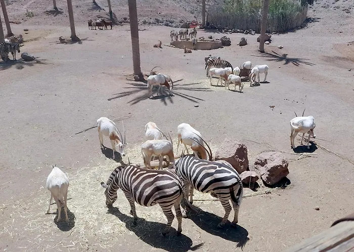 Apartament Casa Alex